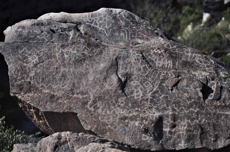 petroglyphs